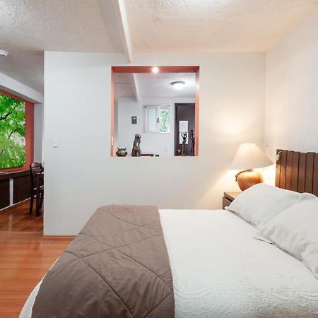 Suite 5A, Altavista, Garden House, Welcome To San Angel México DF Exterior foto