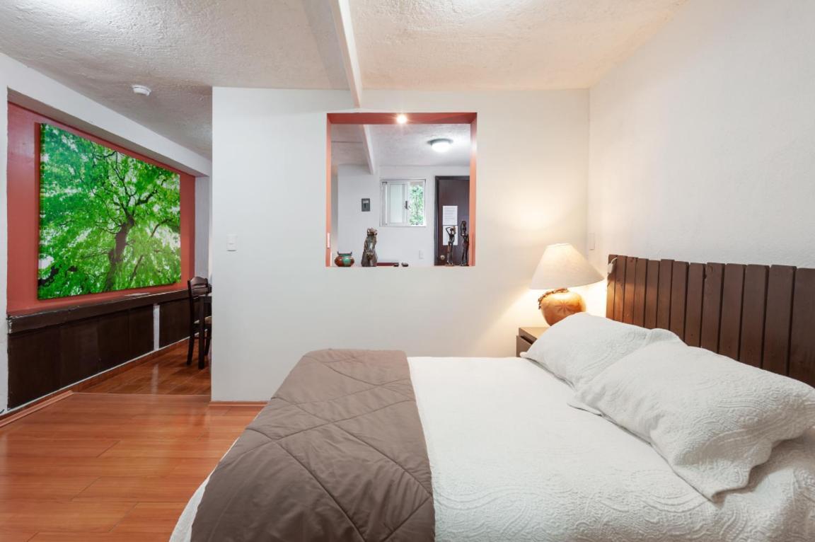 Suite 5A, Altavista, Garden House, Welcome To San Angel México DF Exterior foto