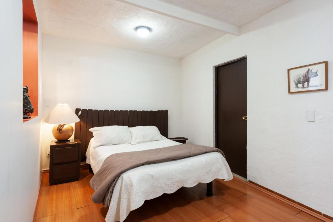 Suite 5A, Altavista, Garden House, Welcome To San Angel México DF Exterior foto